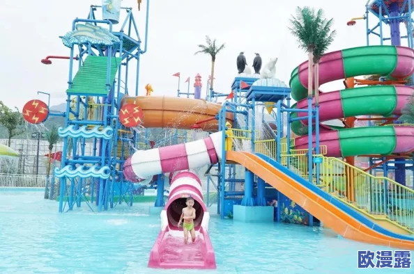 大菠萝官方隐藏入口：网友热议这个神秘通道，是否真的能带来意想不到的惊喜与福利？