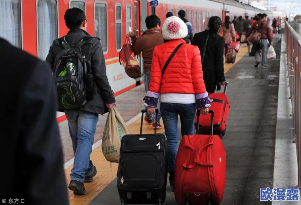 检票员用下面检票按尺寸上车阅读，旨在提高乘客上下车的效率与安全性，确保每位旅客都能顺利通过检票口